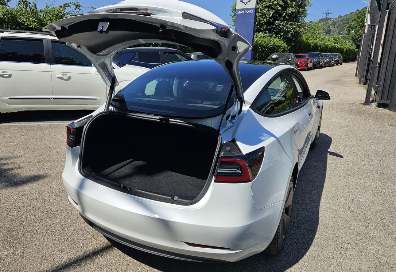 Tesla MODEL 3 RWD 0 cc