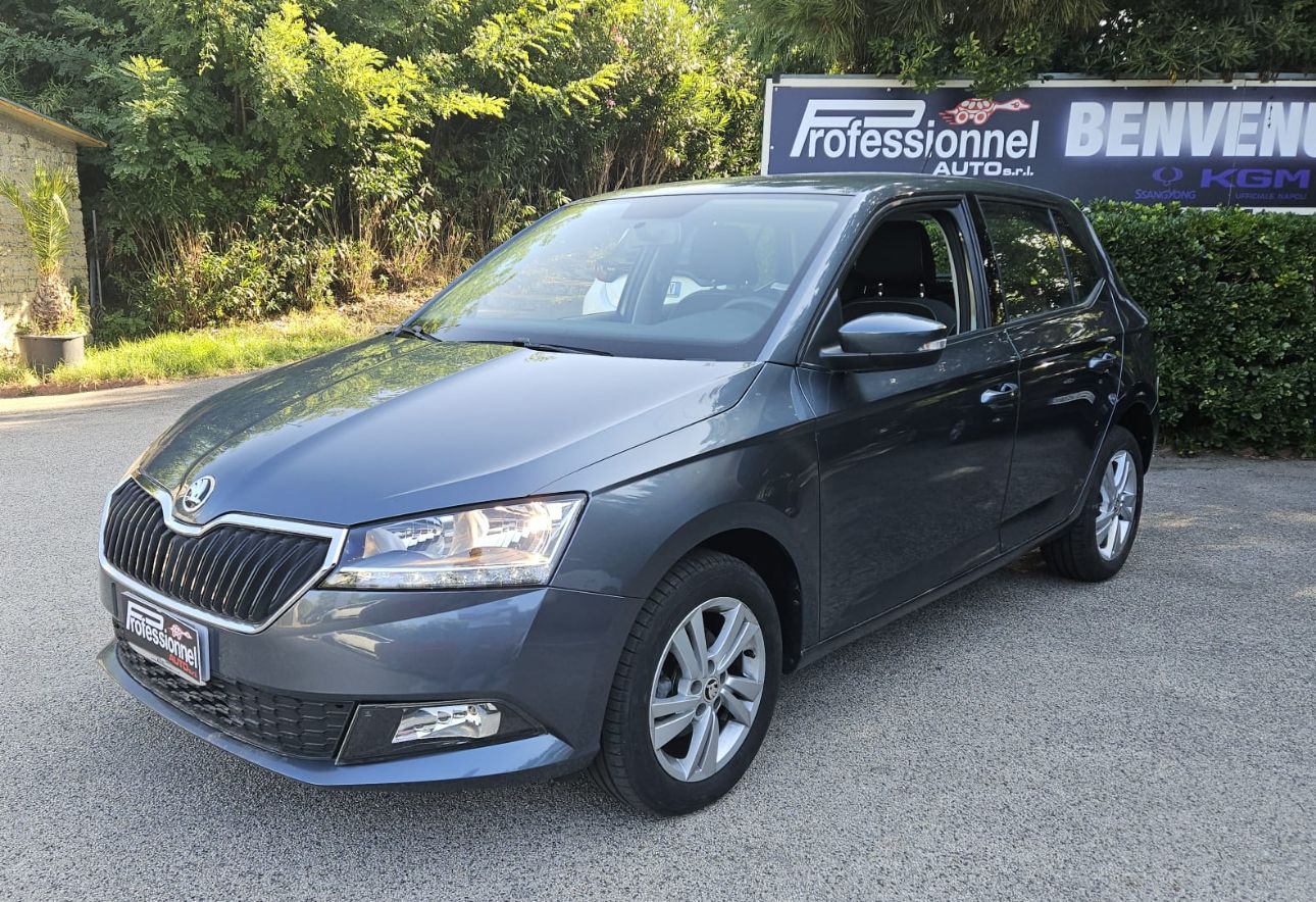 Skoda FABIA STYLE 1000 cc