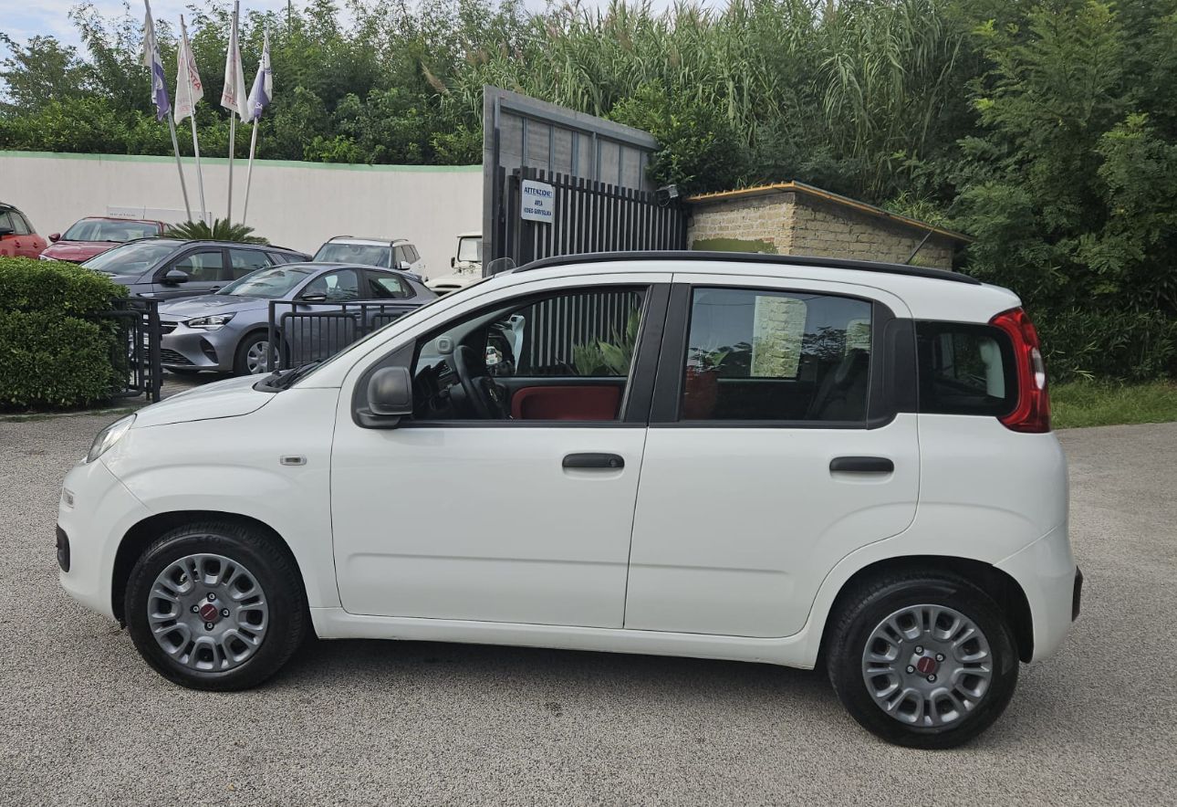 FIAT PANDA POP 1200 cc